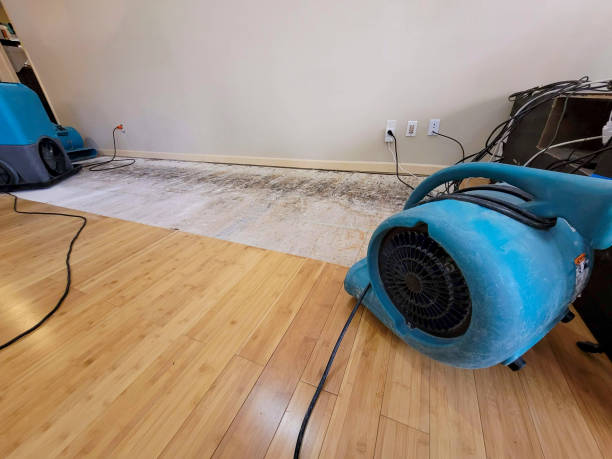 Reliable Basement Flood Cleanup contractor in Holbrook, MA by Hirex Water Damage