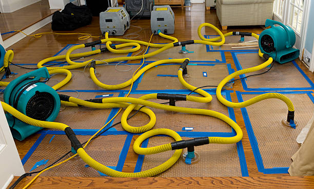 Professional Basement Flood Cleanup technician working in Holbrook, MA